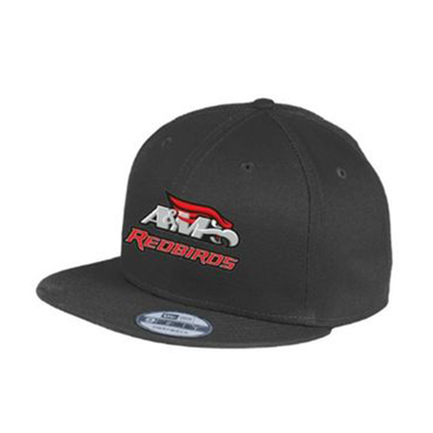 Allentown Red Birds 2025 New Era Embroidered Snapback Cap