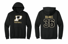 PANTHERS FOOTBALL COTTON HOODIE
