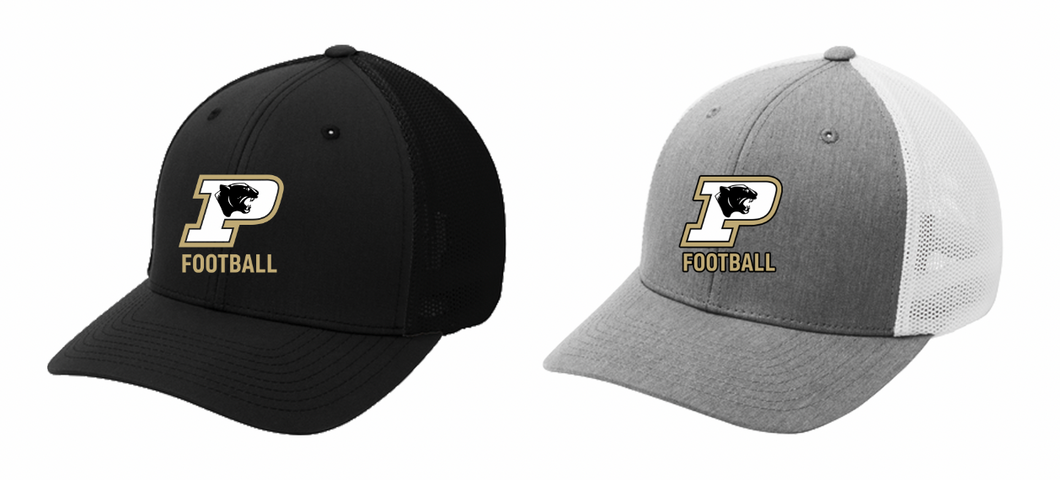 PANTHERS FOOTBALL EMBROIDERED TEAM HAT