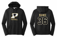 PANTHERS FOOTBALL PERFORMANCE HOODIE