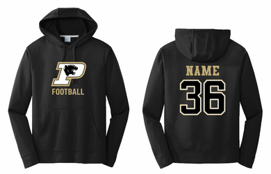 PANTHERS FOOTBALL PERFORMANCE HOODIE