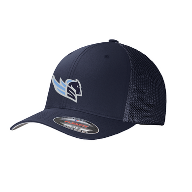 Jersey Shore Stallions Embroidered Logo Team Hat